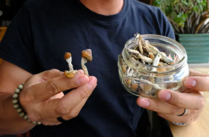 shroom