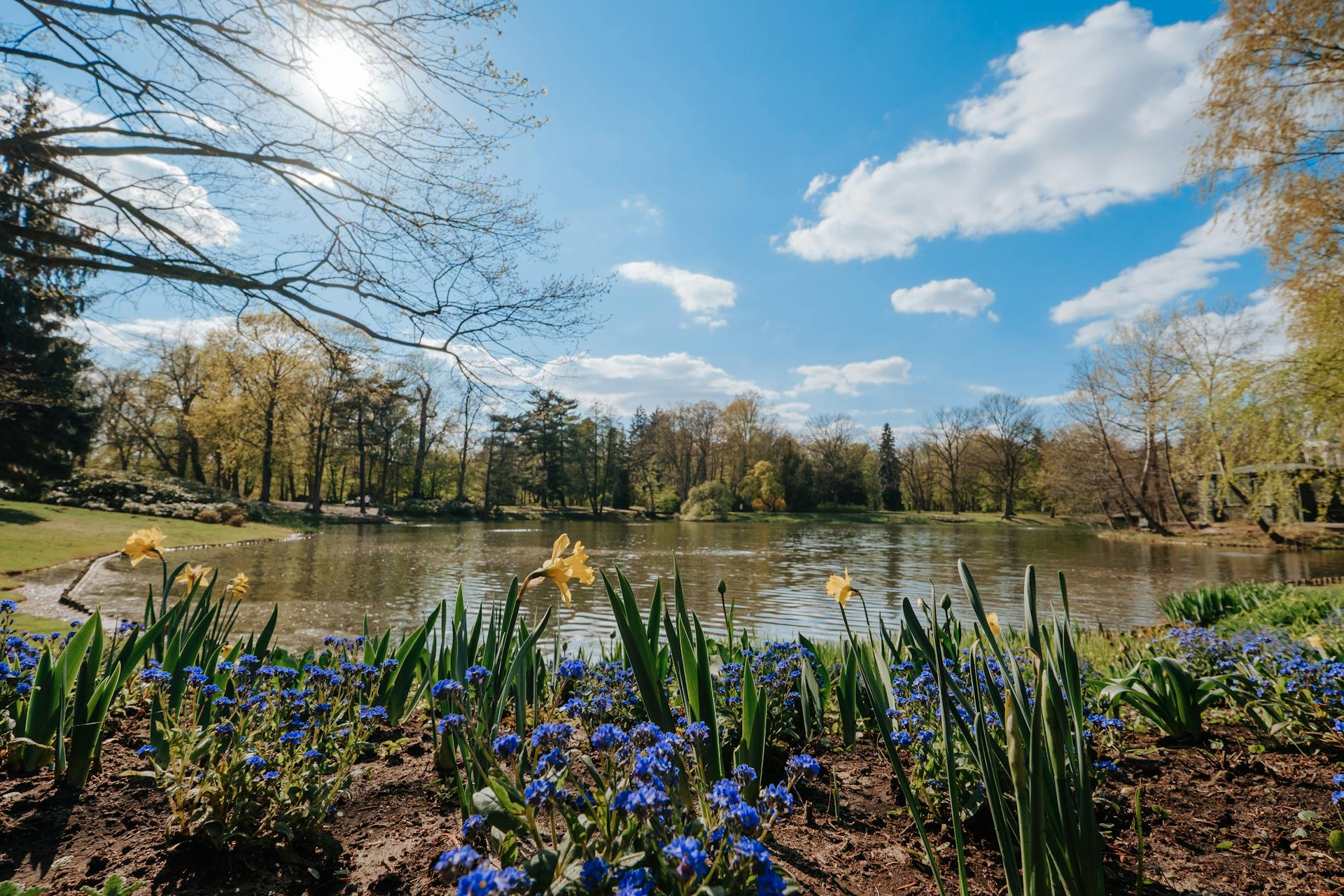 spring